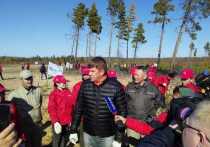 Всероссийская лесовосстановительная акция «Сохраним лес» официально завершена