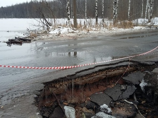 Вятские бобры при очистке трубы не пострадали