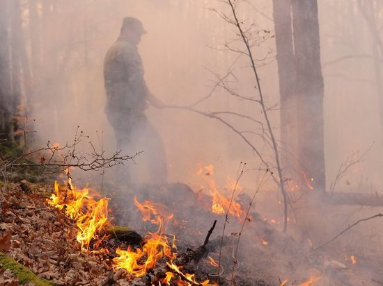 В Краснодарском крае горят леса: режим повышенной готовности, работает вертолёт
