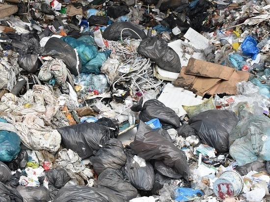 Осипов попросил РСТ быстрее установить оптимальный тариф на вывоз мусора