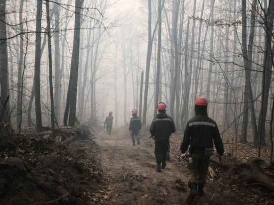 В лесах Северского района локализовали три очага пожара