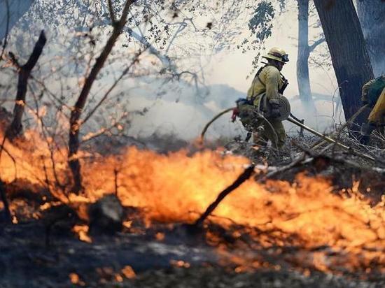 Лесные пожары на Кубани: с 4 ноября потушили 22 возгорания, сейчас горит почти 89 гектаров