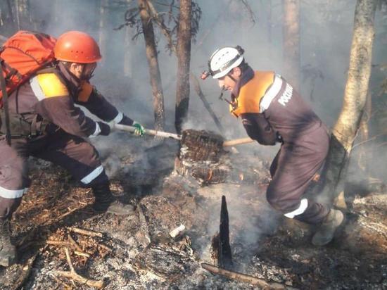 Причиной лесных пожаров в Карачаево-Черкесии могли стать поджоги