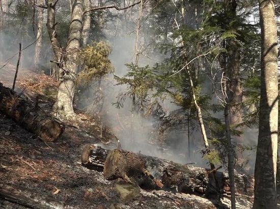 В Карачаево-Черкесии локализовали лесные пожары на двух участках