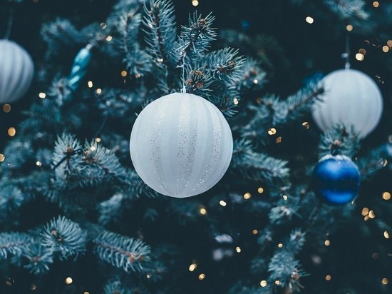 В Кемерове начинают собирать главную новогоднюю елку