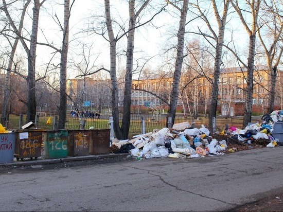 Режим ЧС ввели в Бийске из-за завалов мусора