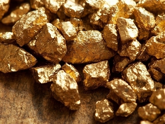 Житель Комсомольска-на-Амуре похитил золото на 2,5 млн рублей