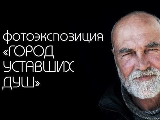 Хабаровчан приглашают на фотовыставку, посвященную бездомным