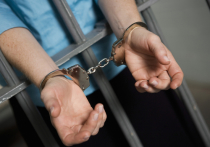 В Чите взят под стражу 37-летний местный житель, который обвиняется в преступлении против половой неприкосновенности малолетней девочки