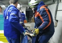 Грузовой подъемник с человеком внутри упал со второго этажа в подвал утром 13 ноября на улице Промышленной в Чите