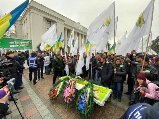 Украинская оппозиция принесла к Верховной Раде гроб со свиньей