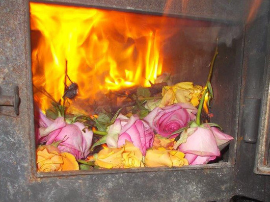 В Петербурге сожгли более 10 тысяч зараженных цветов