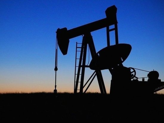 Наталья Комарова рассказала, как жить после эпохи нефти
