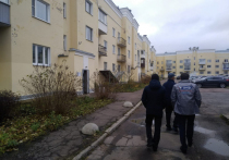 Активисты ОНФ просят власти города отремонтировать дом в Петергофе, в котором живут несколько Героев России, действующих и бывших военнослужащих и их семьи