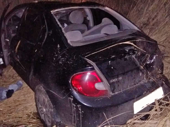 В Тамбовской области перевернулась иномарка: ребенок вылетел в окно машины