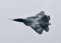 Как пишет американский журнал National Interest, пилоты вооруженных сил США не имеют достаточной подготовки для победы российских и китайских оппонентов в случае боестолкновения