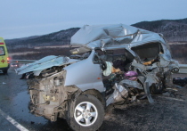 Водитель микроавтобуса Hyundai, который разбился утром 14 ноября, погиб вместе с шестью пассажирами