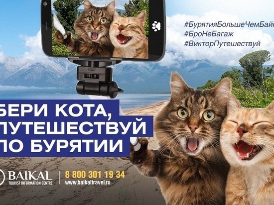 Туристский информационный центр Бурятии пропагандирует путешествия с котами