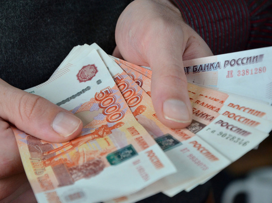 В Чувашии ветврача осудили условно за поддельные справки и взятку полицейскому