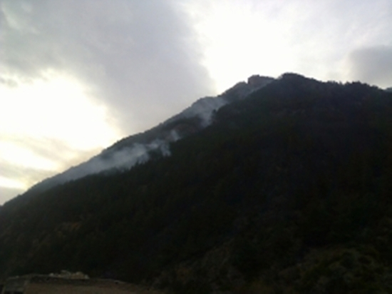 В Кабардино-Балкарии потушили лесной пожар на площади 2 га