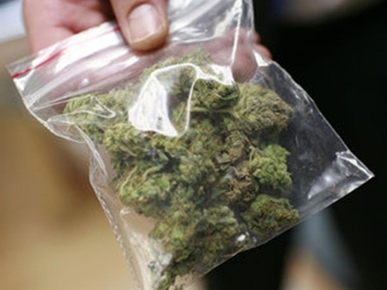 В Тамбове изъяли почти полкило марихуаны