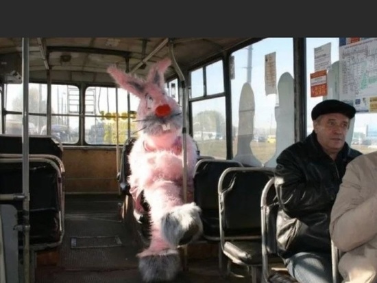В Ярославской области подорожают «зайцы»