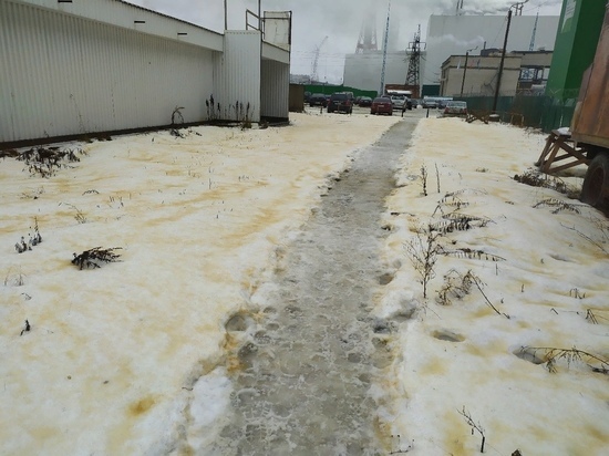 Власти Карелии следят за ситуацией в Сегеже, где пожелтел снег