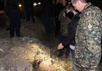 В Крыму завершились поиски 5-летней Даши Пилипенко, пропавшей без вести 13 ноября