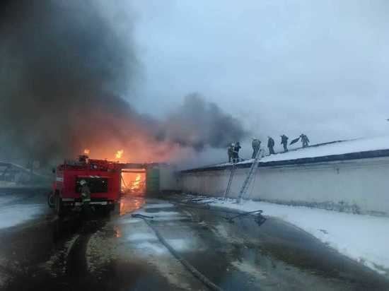 Пожар на Нижнетагильской птицефабрике тушили почти 10 часов