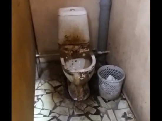 Под Тулой нашли "самый страшный" общественный туалет