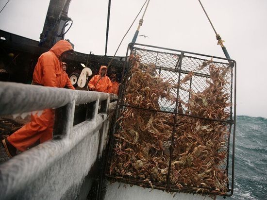 Для хабаровских рыбаков построят краболовы