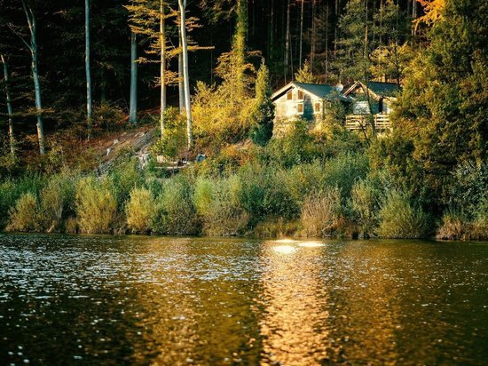 Исследование: в Рязанской области подорожала аренда домов