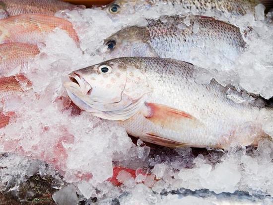 Роспотребнадзор нашел килограммы неизвестной и испорченной рыбы в Тульской области