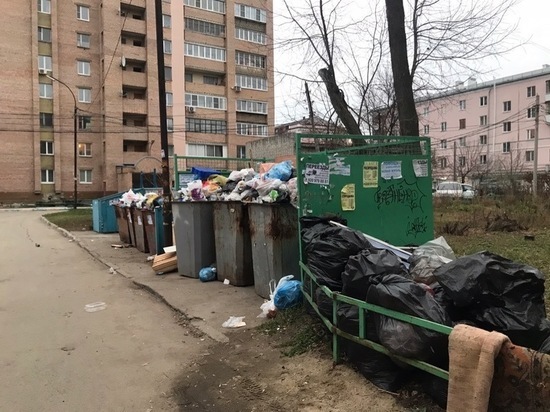 Рязанцам напомнили телефоны для жалоб на вывоз мусора