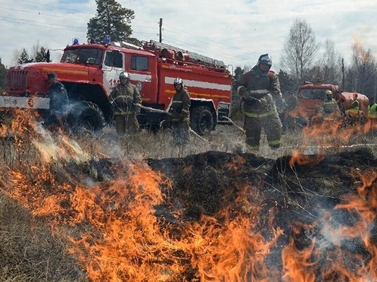 Почти 40 единиц техники закупят в Забайкалье для тушения лесных пожаров