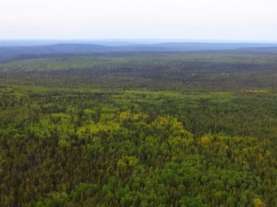 Границы зелёного пояса Иркутска установило региональное минприроды