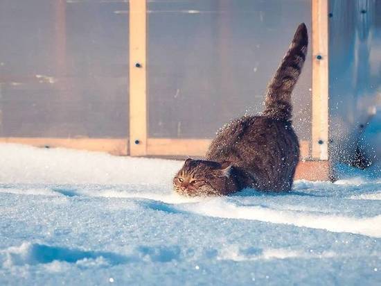 В Челябинске на смену морозам завтра придет потепление