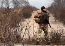 Политик надеется, что возврата украинских силовиков в "серые зоны" не будет