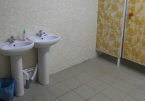 В Козьма-Демьяновской средней школе Должанского района Орловской области торжественно открыли первый за 145 лет (именно столько лет селу) теплый туалет