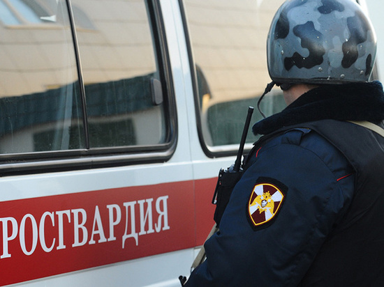 В Архангельске национальная гвардия загнала находившегося в розыске гражданина