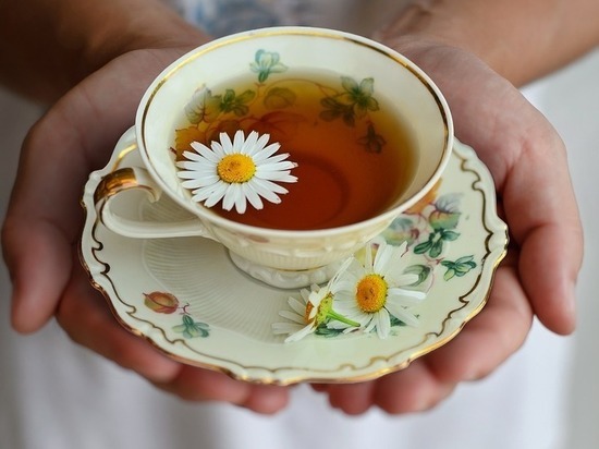 Чем полезны разные виды чая, рассказала волгоградский фитотерапевт