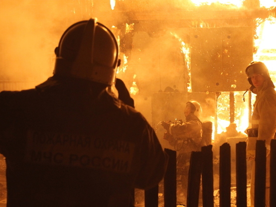 В МЧС рассказали о главной причине пожаров в Алтайском крае
