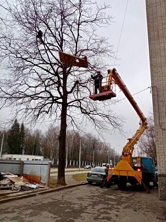 В Обнинске с дерева снимали кровать