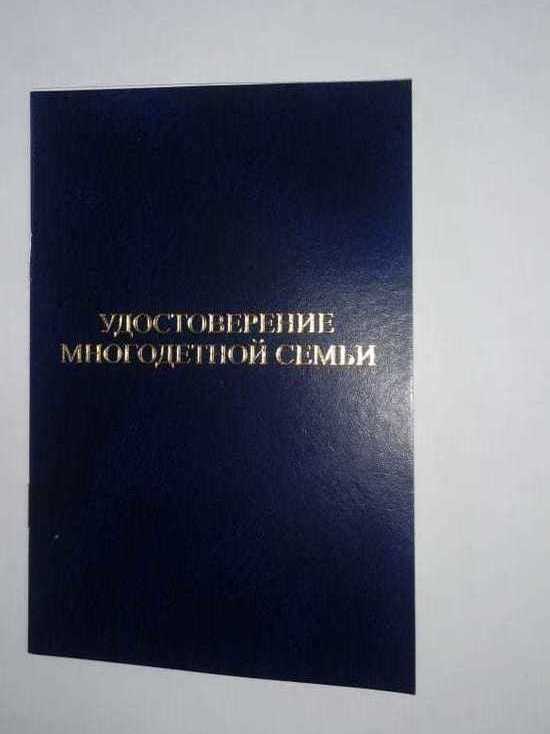 В Ставрополе многодетным семьям начали выдавать удостоверения