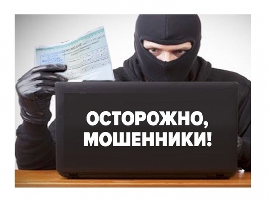Заменили жигули на иномарки: эксперты рассказали о новом «тренде» страхового мошенничества