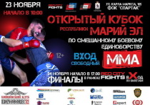 23 и 24 ноября в ФОКе «Спартак» Йошкар-Олы состоятся состязания по ММА
