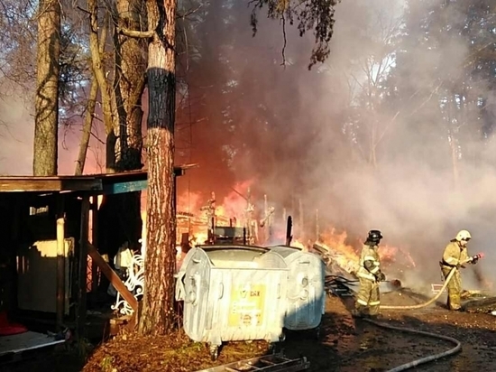 «Летучий корабль» заплатил 600 тыс. рублей за сгоревшие деревья
