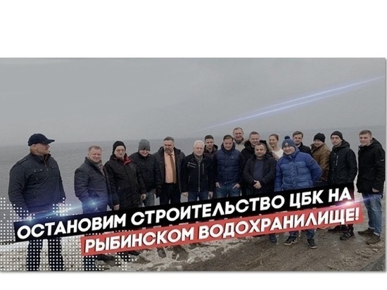 Жители Рыбинска выйдут на митинг против ЦБК