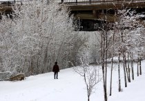 Морозов в Красноярске пока не ожидается