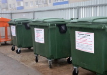В населенных пунктах района Марий Эл будут установлены новые контейнеры не только для ТКО, но и для пластика